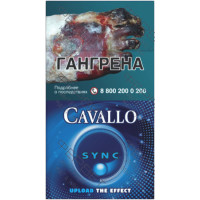 Cavallo Sync