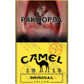 Camel Original Yellow