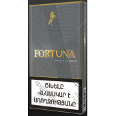 Fortuna SS Gray